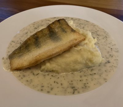 Havel-Zander in Dill-Soße und Kartoffelstampf